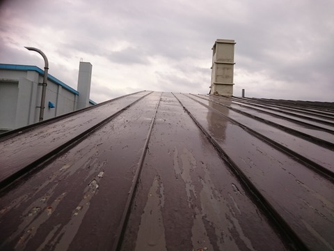 屋根全体に剥離が発生しています