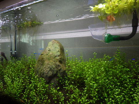 全然イメージと違う