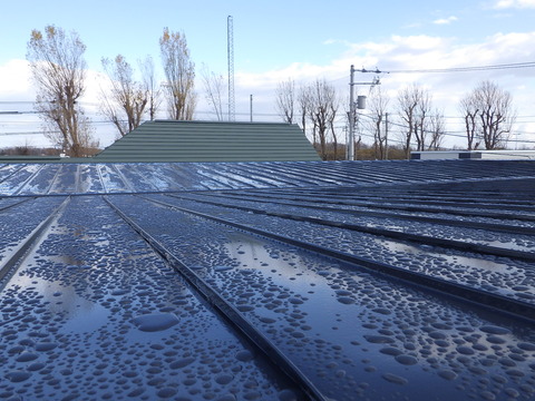 良く撥水していますね！