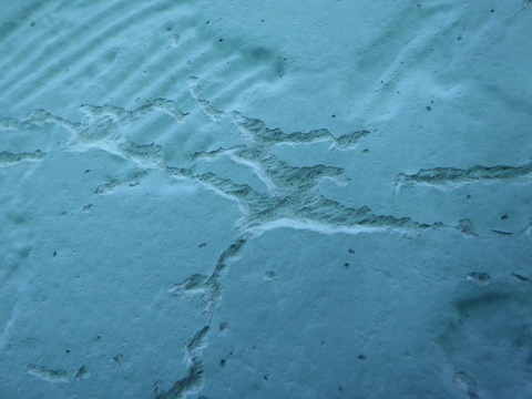 高圧水洗浄後はこんな感じに!
