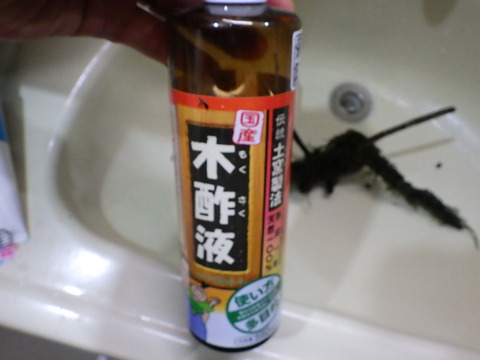 匂いは強烈ですが水槽生物には比較的無害だそうで