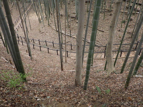 空堀、土塁、た・・楽しい!