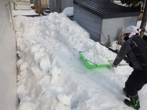 スノーダンプで排雪です!
