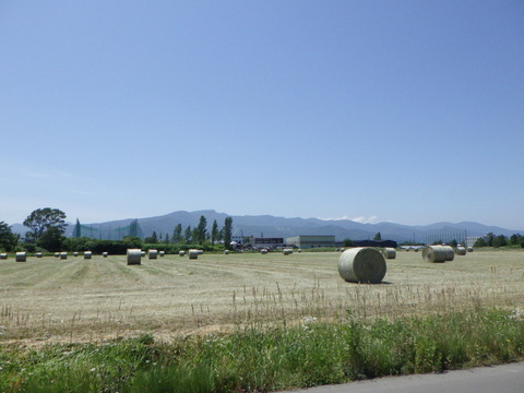 ７月上～中にかけて牧草ロールを作るようです^^