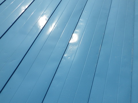 艶も若干残っていますね