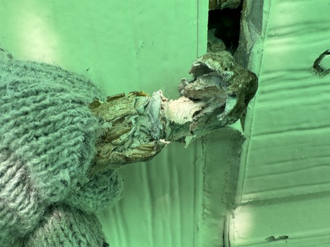 未硬化シーリングらしきものまで