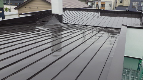 ハイソリッドシリコン仕上げ