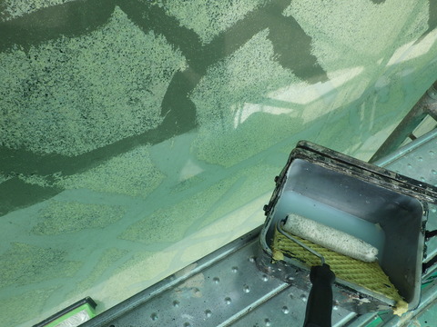 シーラーを塗るとひび割れ補修跡がくっきり出ますね