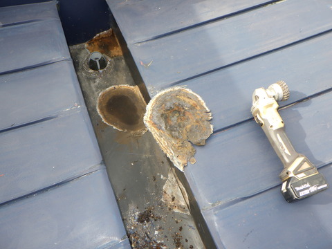 ここまで範囲が広がっていました