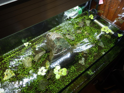 少しづつイメージに近づいてきました