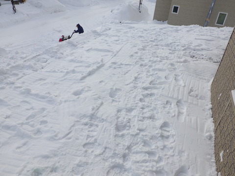 綺麗になりました