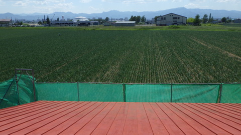 屋根上からつどーむ見えた!