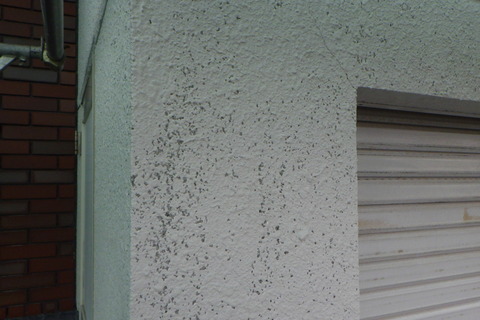 前回塗替え分が剥がれた!?