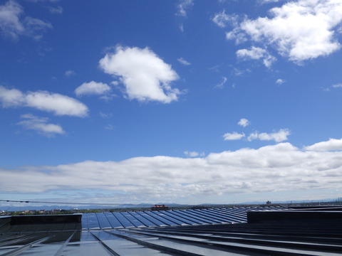 稲穂は景観が素晴らしい!