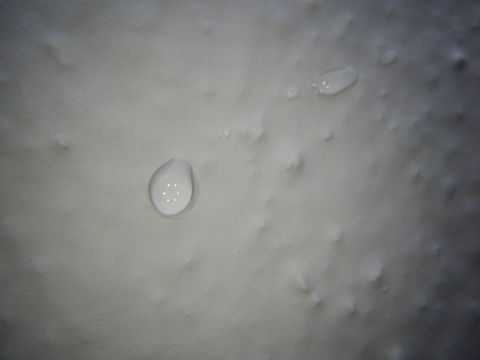 蓮の葉のように水を弾いています