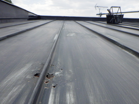 屋根トタンに穴が開いています