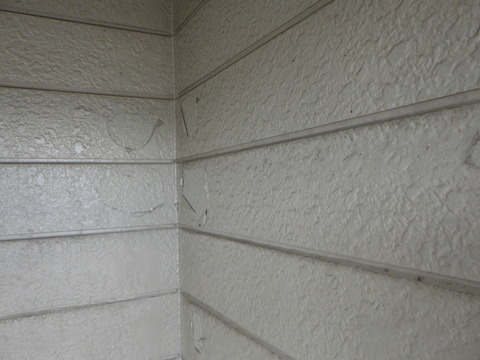 おかしなところが沢山ある！？