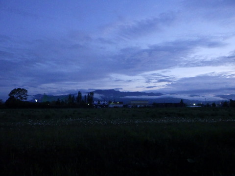 撮影時刻19:30、六月は日が長くて良いですね^^