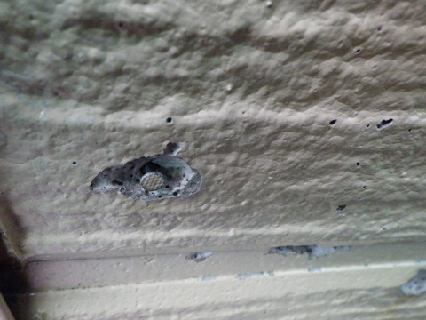 釘頭周りの浸水跡