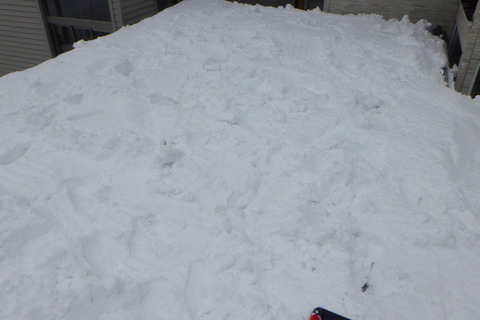 車庫上の雪も落とします
