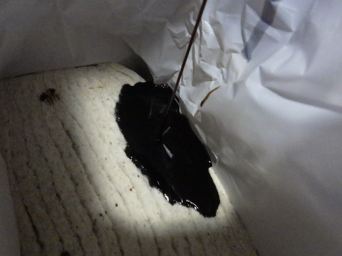 8か月分でこの汚れ方とは・・・
