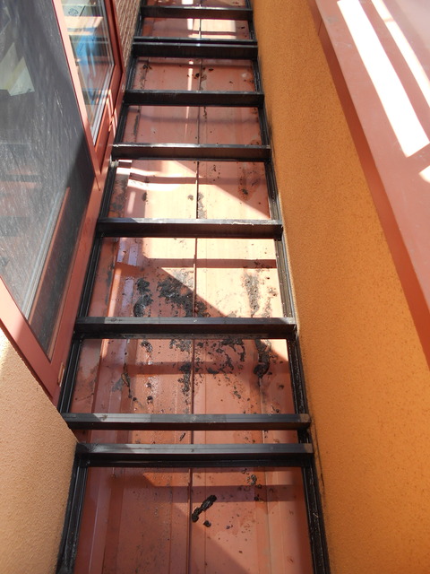 スノコ下にはトタン屋根があり、大抵ゴミが多い