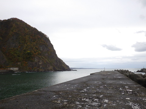 雰囲気は釣れそうです