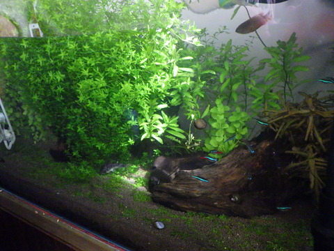 ちょっと前はこんな感じで良いバランスだったんですが