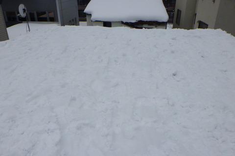 ２０ｃｍ位は残します