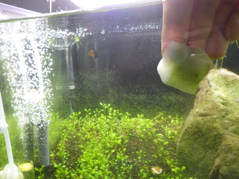 とりあえず掃除でもします^^;