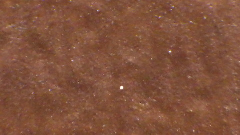 緻密な塗膜が形成されています