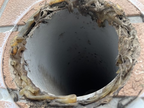 排気管周りに隙間がある