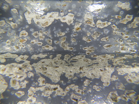 既存塗装はボロボロと剥がれました