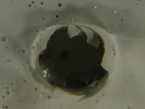 泡の中は空洞になっている