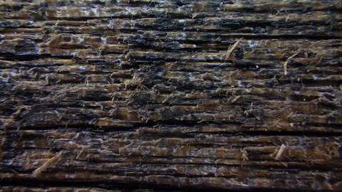 シーラー２回完了　表層が固着されました