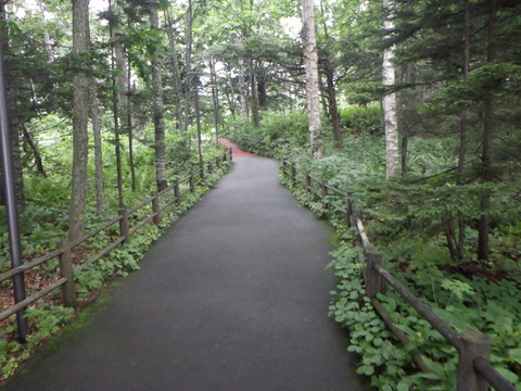 整備された歩道を歩いていくと