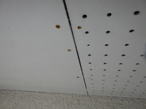 軒天井の釘がサビています