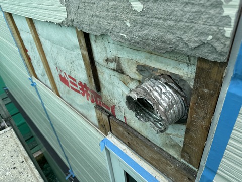 通気不良ではないようです