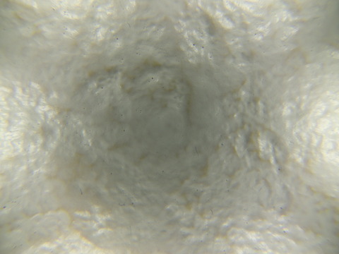 ２回塗ってヤニが止まった