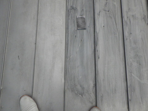 違いがはっきり表れます