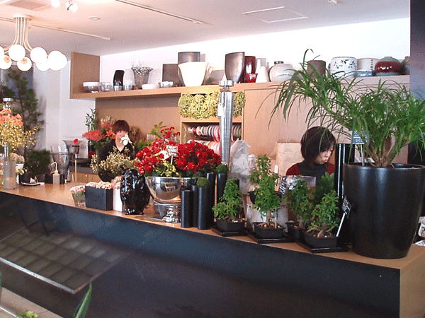 D Dojunのきまぐれ日記 Around The Corner アラウンド ザ コーナー Blog ブログ D Dojunのきまぐれ日記 Around The Corner アラウンド ザ コーナー Blog ブログ