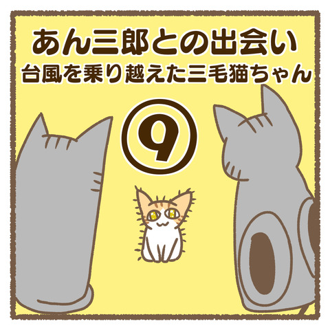 244B02E7-D702-446E-88D4-FBE77ADA4FC4