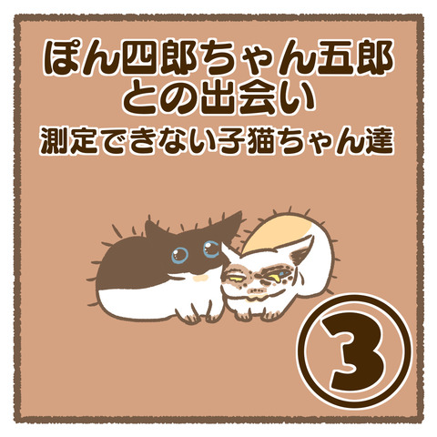 DC6A2EFC-3040-4773-90D0-31A7383738F5