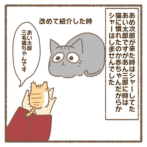 CD89A863-70C3-40AA-B227-244BD95C35EA