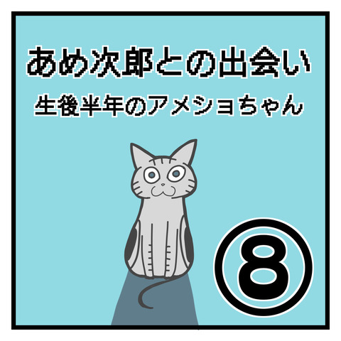 C62F70FE-57FC-478D-AE4B-6D92DC57E435