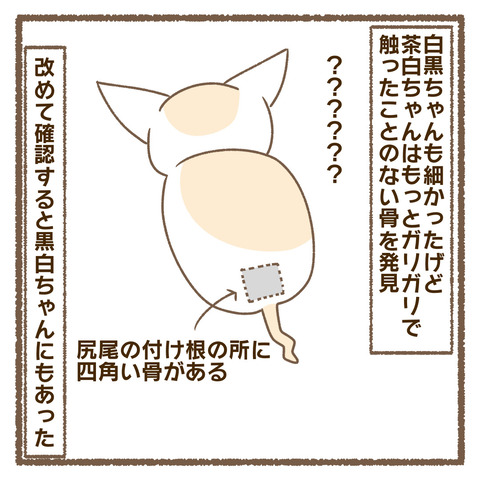 CE4695A4-1CA0-4DF4-A02B-4DA9C436156B