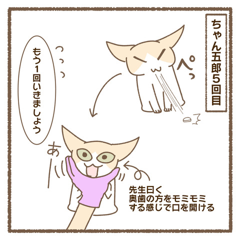 AD0DFBBB-60C4-4900-A2FD-01BA19A9C649