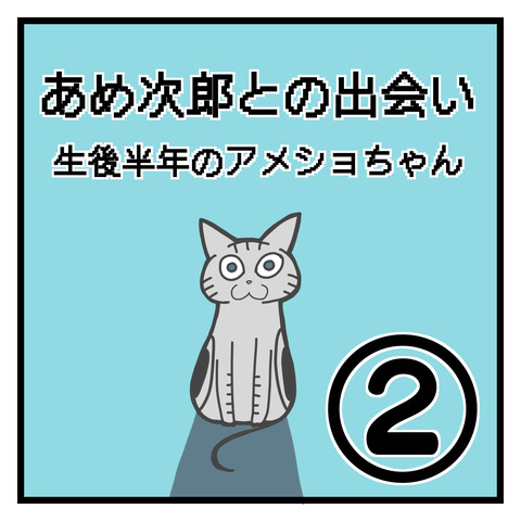 EE2C4BF9-C4E1-468B-991B-16950508D197
