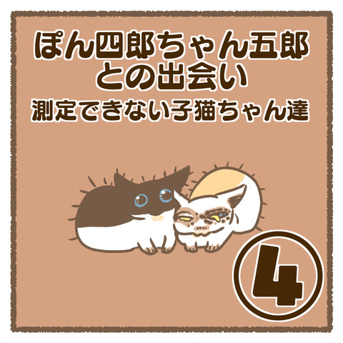 238E8686-235C-409F-B4DB-2AD142144EFD