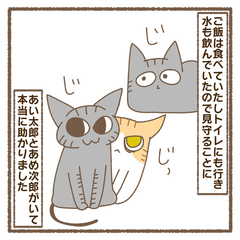 A6218093-CCAF-4D2A-8E3F-657214D3A457